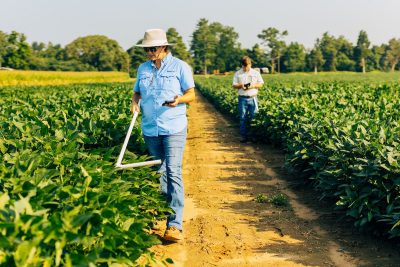 image of people in field