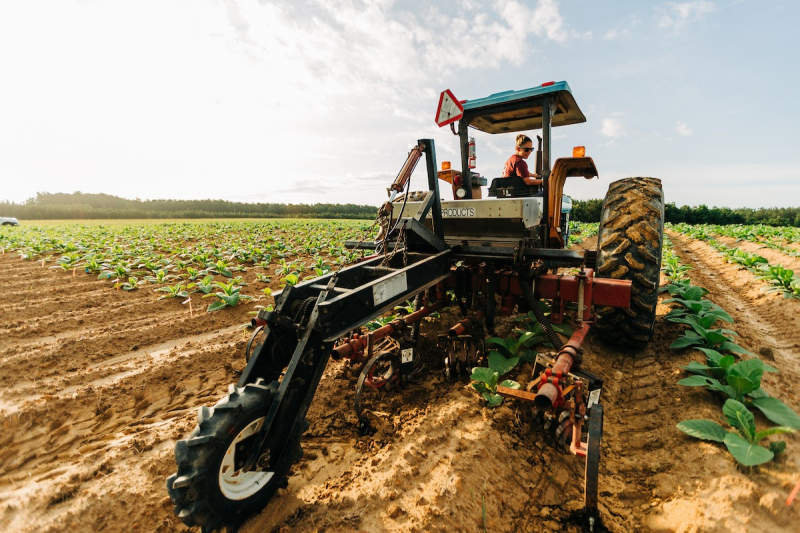 Image of a man in a field with a drone