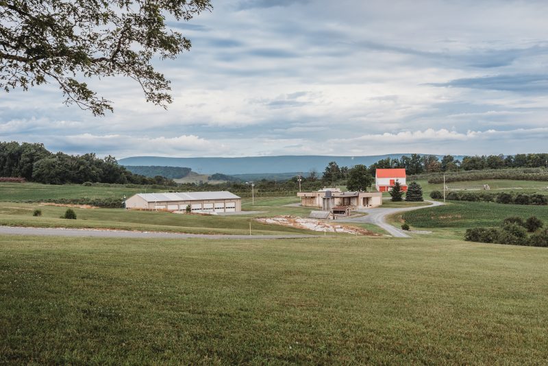 View of the AREC farm