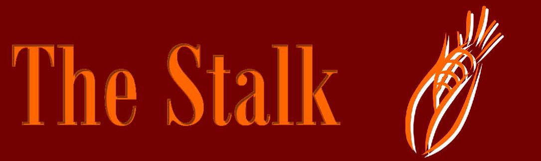  "The Stalk"