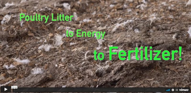 litter video screenshot and link