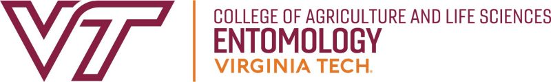 VT entomology