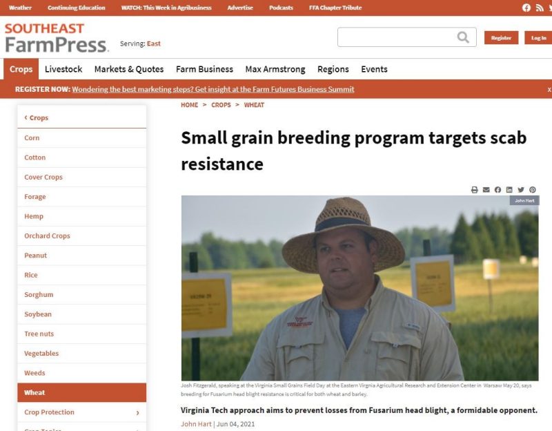 Image of article from farmprogress.com - Small grain breeding program