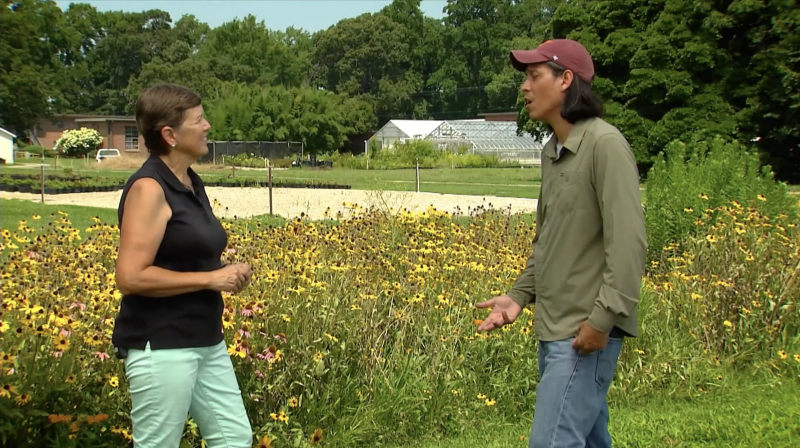 Virginia Home Grown  Pollinator Friendly Gardens