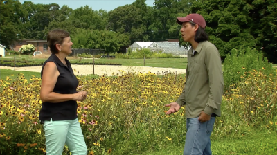 Virginia Home Grown  Pollinator Friendly Gardens