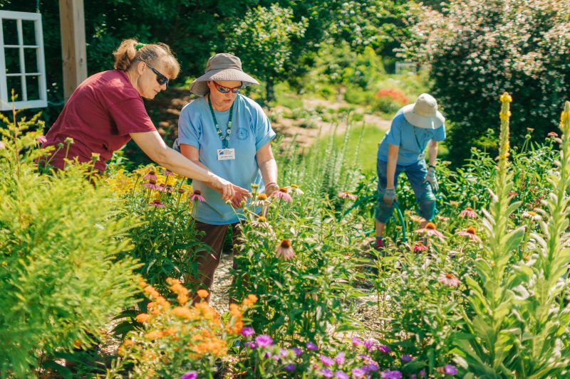 Horticulture Research Associate at the Hampton Roads AREC receives award for efforts toward a Norfolk conservation project