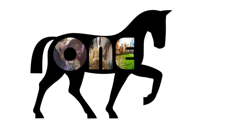 OneHorse