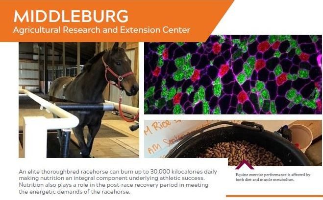 Image of Middleburg AREC Fact Sheet