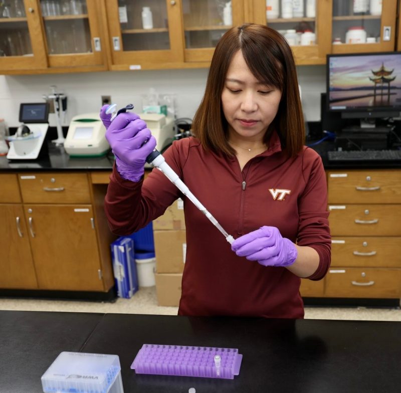 Researcher in the Zeng lab at Southern Piedmont AREC