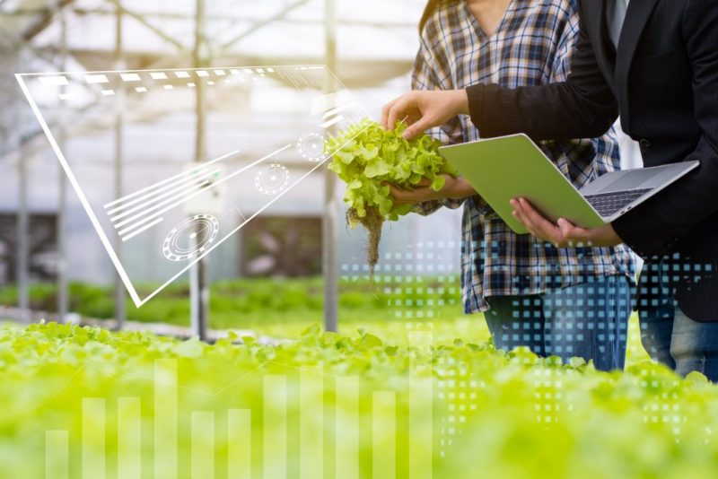 Man and a woman stand in a greenhouse with a laptop 