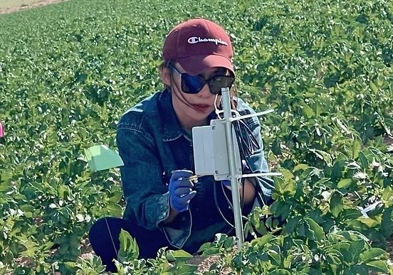 Researcher gathering data in field