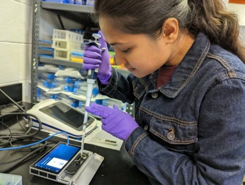 Researcher in the Zeng lab at Southern Piedmont AREC