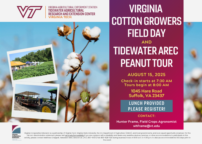 Advertisement for Cotton Field Day at Tidewater AREC on August 15th.