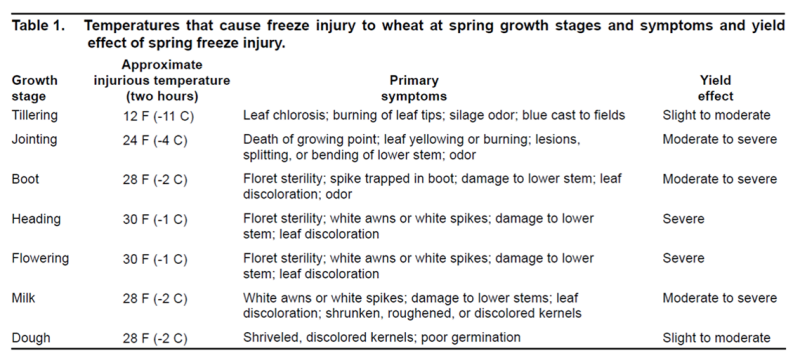 Cold Damage Table