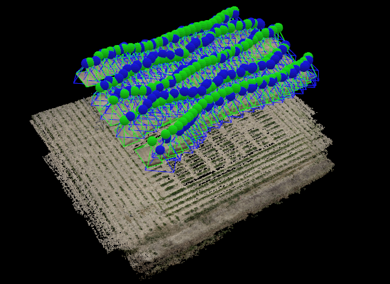 High-throughput phenotyping (HTP) of peanut canopy height using digital surface models (DSM)