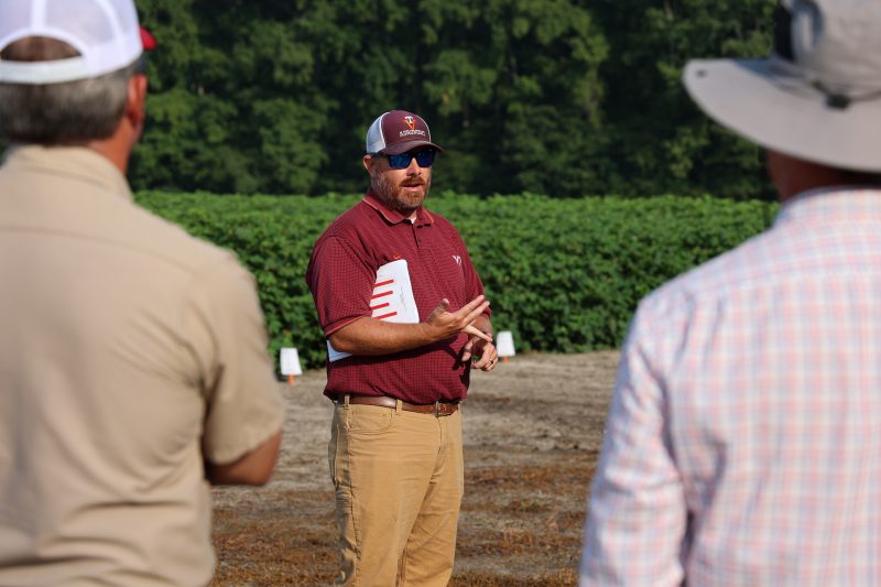 man in a cotton field speaks to field day attendees