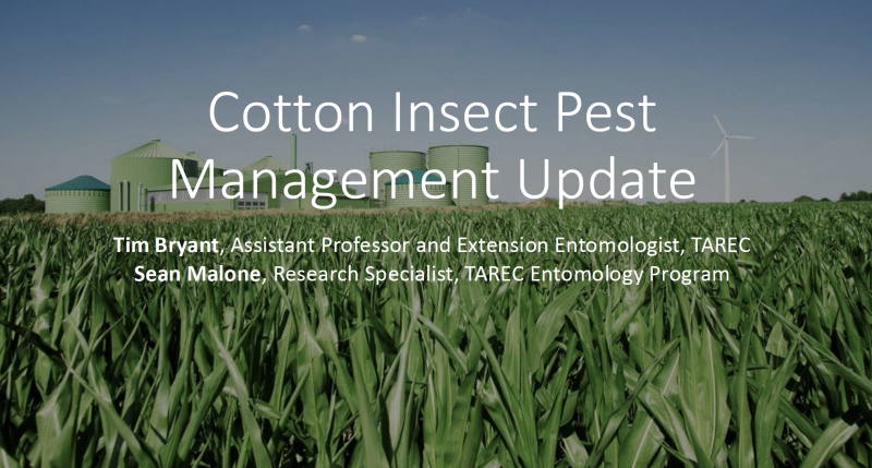 Entomology Presentation Slide by Dr. Tim Bryant, Entomologist