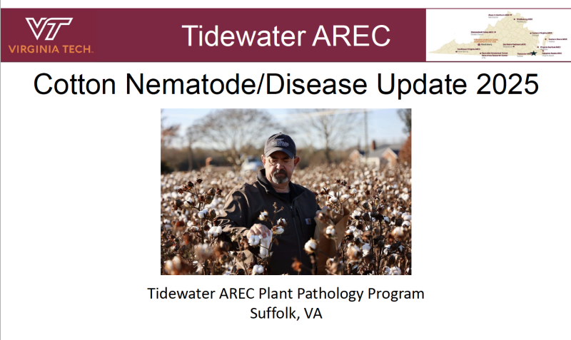 Cotton Meeting Presentation Cover Slide - Dr. David Langston