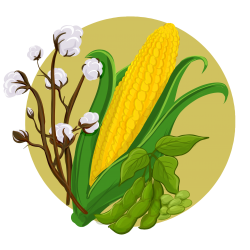 an image of cotton, corn, and soybeans in front of a yellow sun