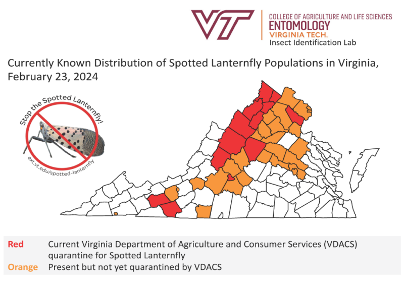 map showing areas of spotted lanternfly populations in Virginia