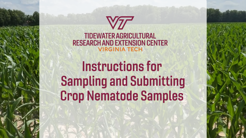 INSTRUCTIONS FOR NEMATODE SAMPLING