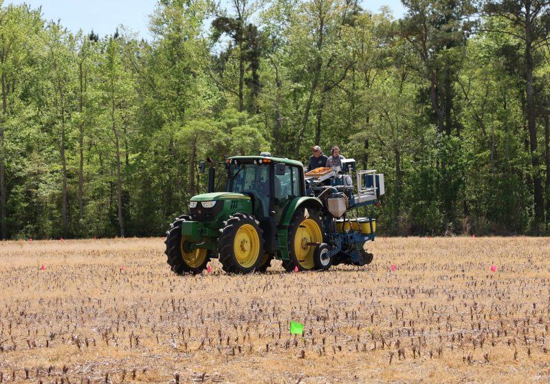 Soybean Agronomy