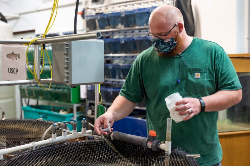 Ethan McAlhaney, laboratory and research specialist, feeding fish in a large tank.