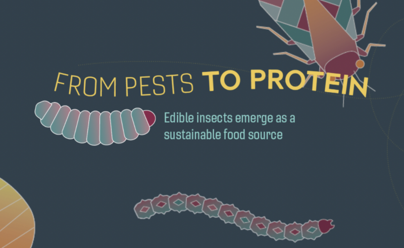From Pests to Protein - Edible insects emerge as a sustainable food source