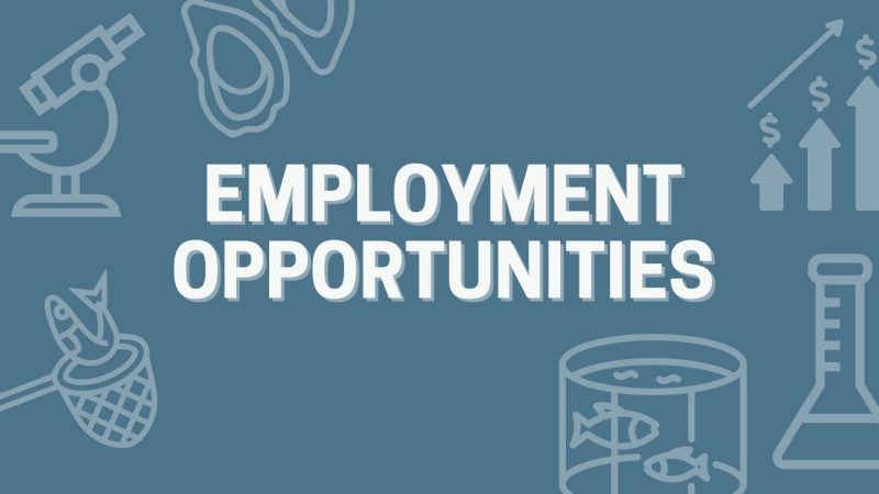 Employment Opportunities Banner Image