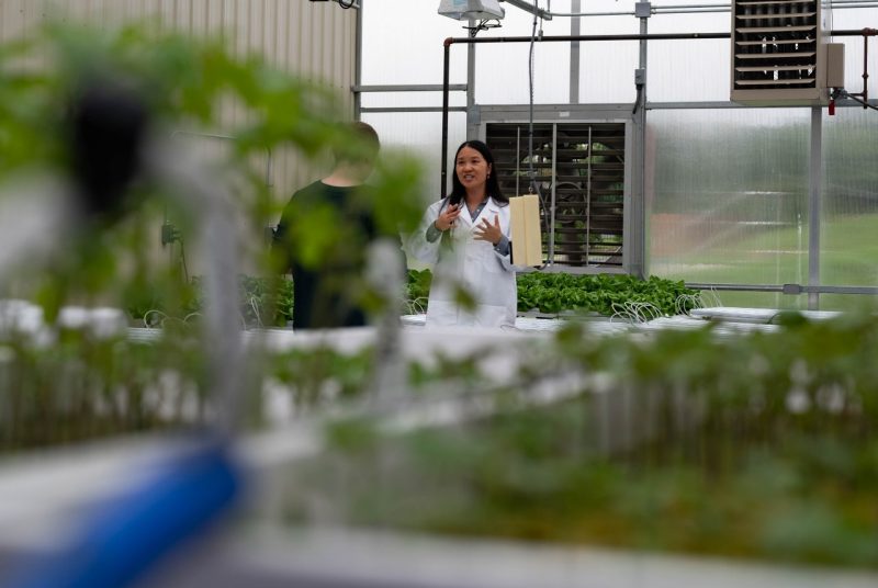 Scientist standing beside plants using aquaponics.