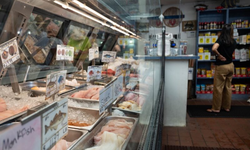 Display case at seafood market