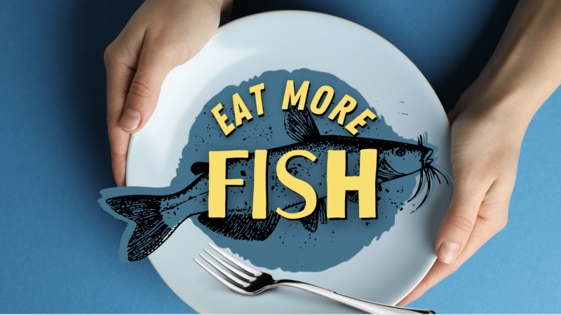Eat More Fish banner image no logos