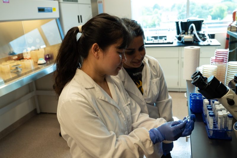Graduate students working in lab