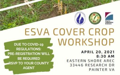 Image of ESVA Cover Crop Workshop Flyer