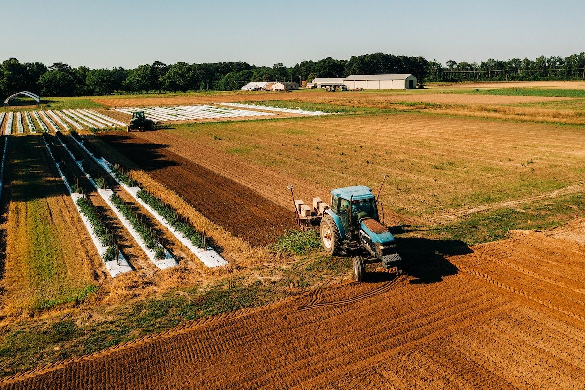 Eastern Shore Agricultural Research and Extension Center Virginia Agricultural Research and Extension Centers Virginia Tech image