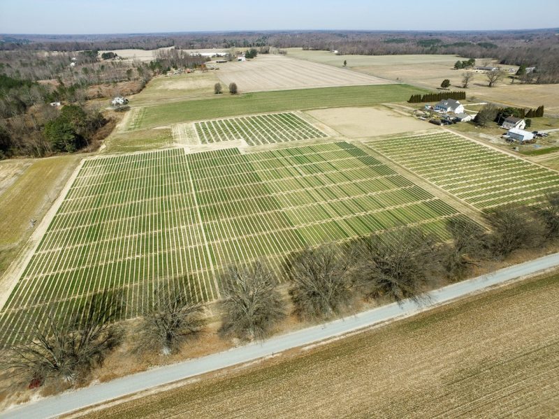 aerial image of grain fields and EVAREC