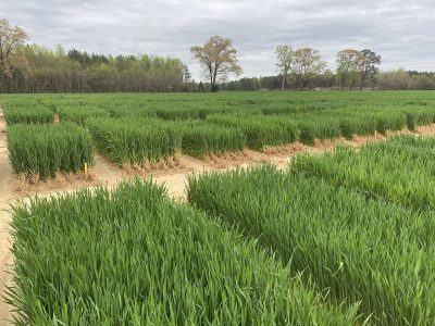 Eastern Virginia AREC April 2024 - Volume V, Issue I