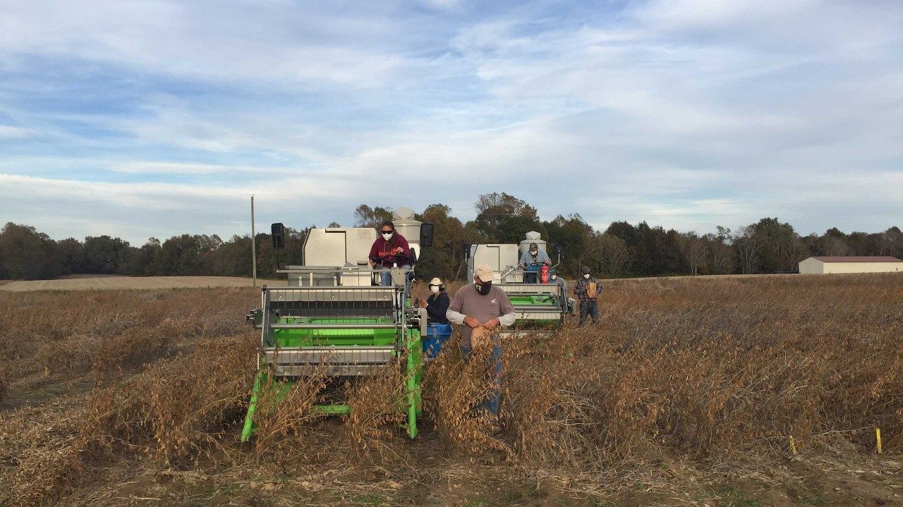 Eastern Virginia Agricultural Research and Extension ...