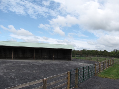 Best Management Practices Model Farm Heavy use area