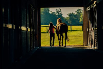 horse coming out of barn