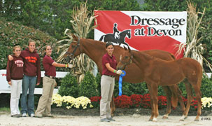 Dressage at Devon Sporthorse