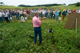 Extension Field Days