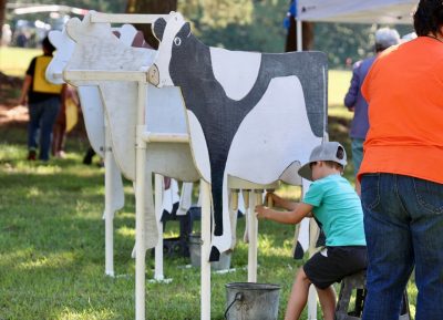 A boy in a green shirt milks a wooden cow