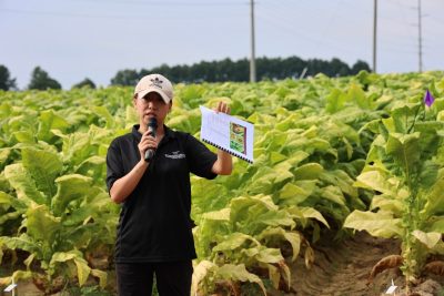 A young woman wearing black stands beside a tobacco field and speaks into a microphone while she also holds a booklet 