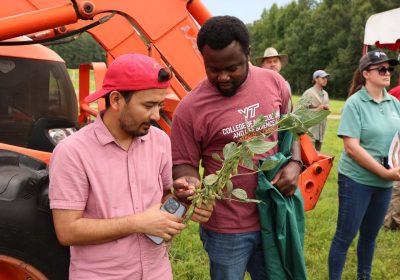Two men wearing maroon shirts examine a soybean plant beside an orange tractor