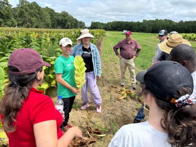 A woman wearing a white baseball cap holds a tobacco leaf and smiles as she speaks to a group of students beside a field