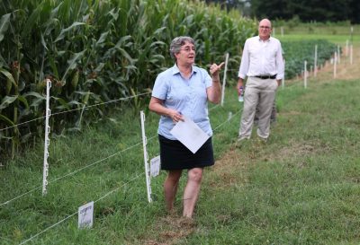 A woman speaks beside a corn field