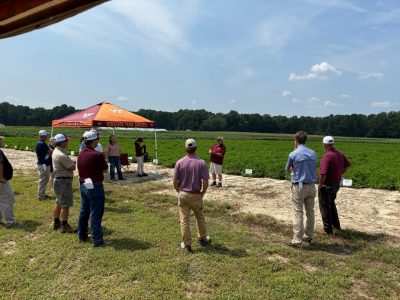 A group of field day attendees gather around a speaker in the field.