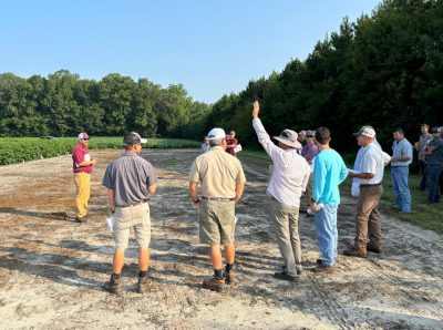 Man raises his hand in a group of people standing beside a cotton field.