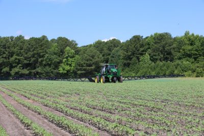 John Deere See and Spray technology is demonstrated in the field during the Precision Ag Expo.
